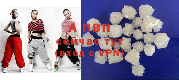 PSILOCYBIN Рославль