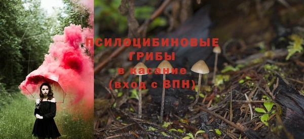 PSILOCYBIN Рославль