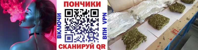 Бошки марихуана гибрид Шуя